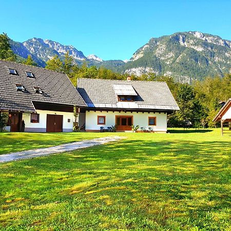 Apartmaji Zupanc Ivanka Bohinj Exterior foto
